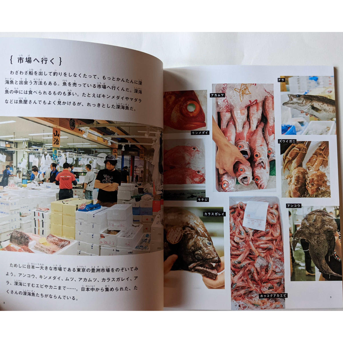 たくさんのふしぎ 釣って食べて調べる深海魚 平坂寛文 キッチンミノル写真 長嶋祐成絵