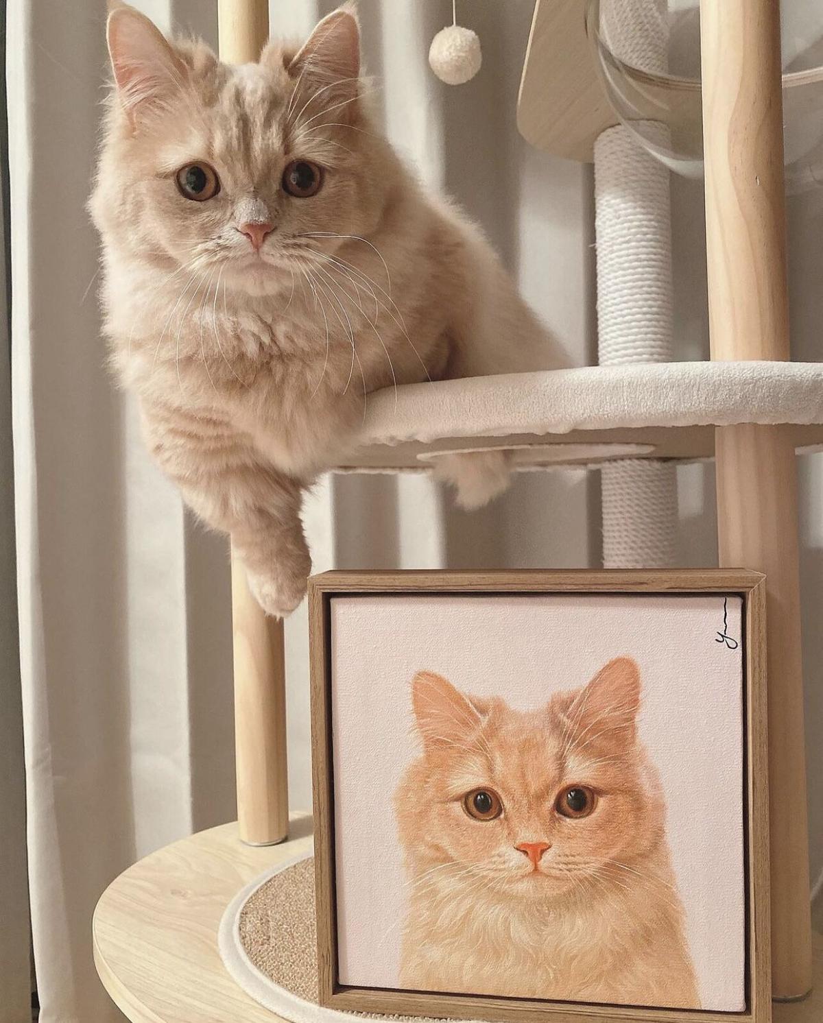 30cm 30cm 木枠セットアート 愛猫ちゃんの肖像画 Premiere Produc