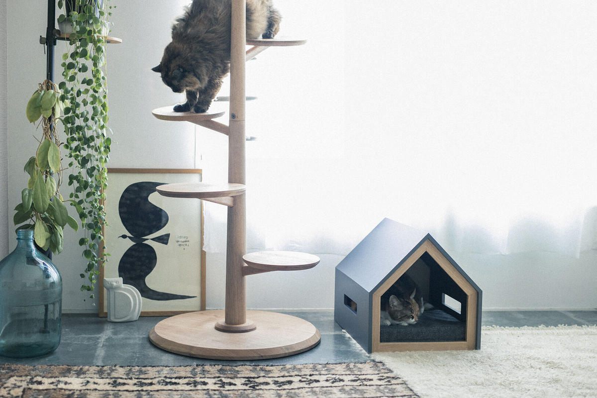 KINOBORI / cat tower & CAT ONLINE STORE