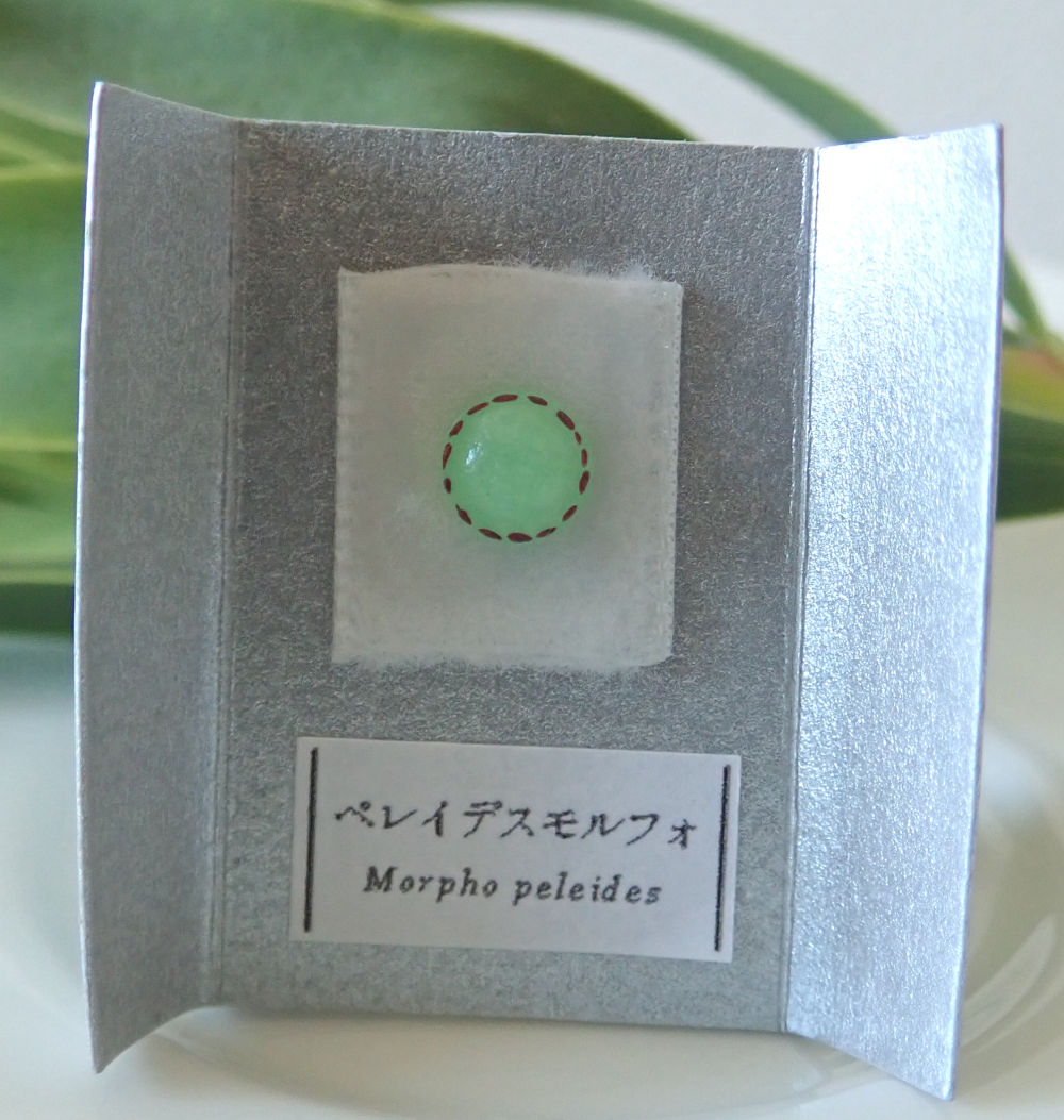 ペレイデスモルフォ 蝶の卵ピアス お拾いもの