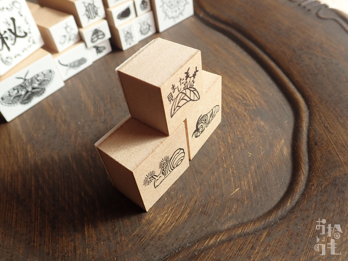 オオムラサキ幼虫 見ました ショートスタンプ お拾いもの