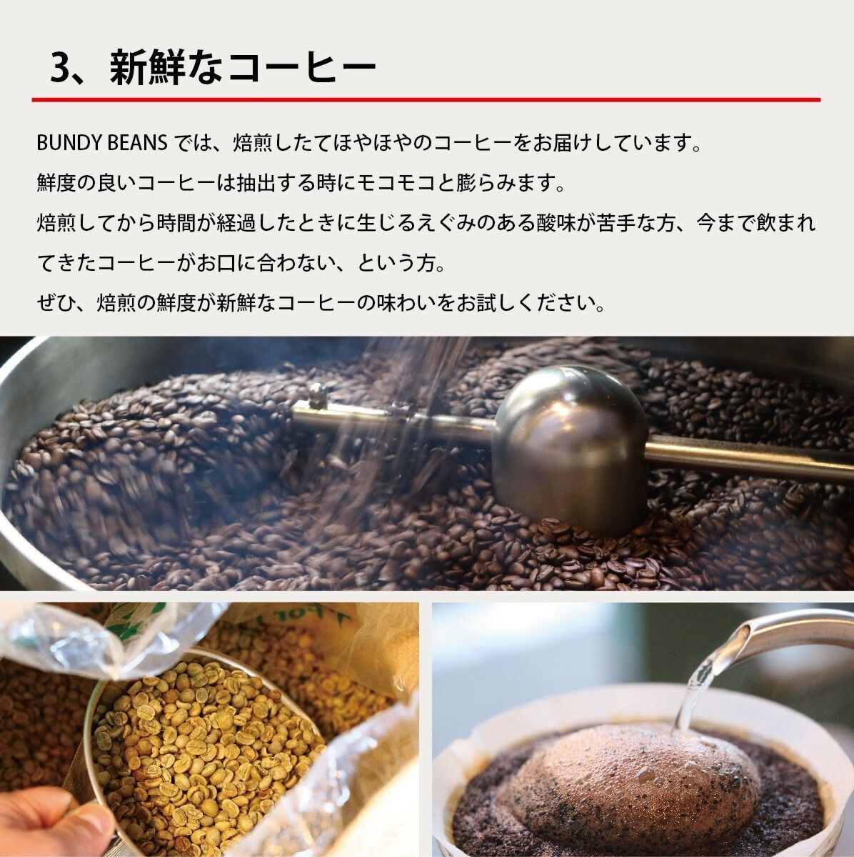 送料無料 Decaf Coffee カフェインレスコーヒーギフト M Bundyb