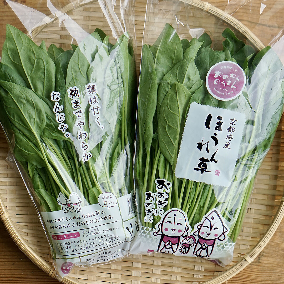 京都府産 朝どりほうれん草 10袋 大村農園 朝どり野菜