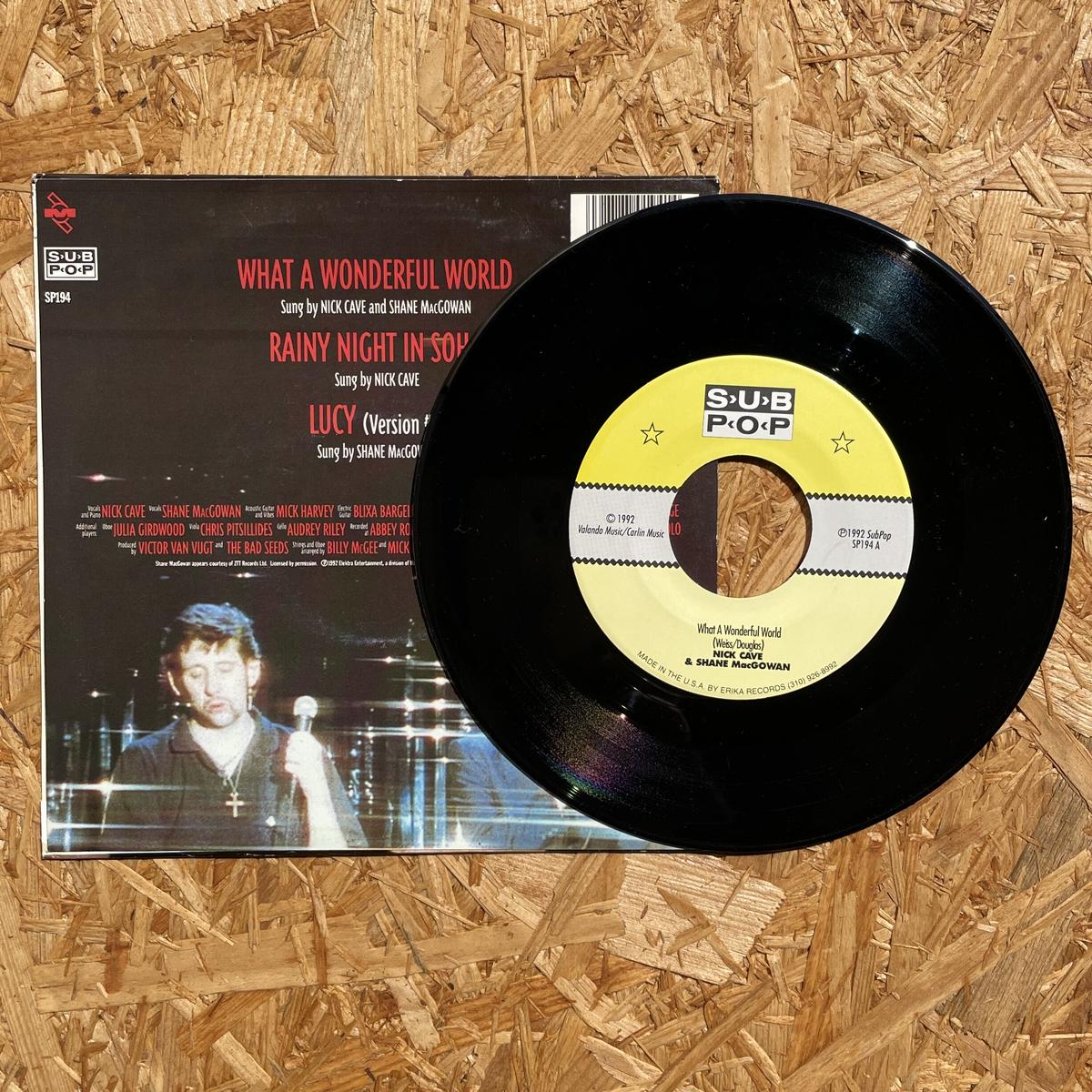 NICK CAVE & SHANE MAcGOWAN / What A Wonderful W...