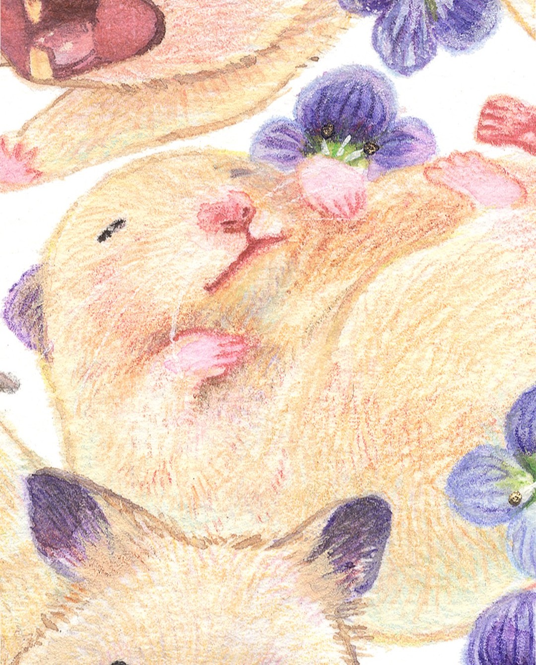 複製豆絵《モグモグおもち》 キンクマハムスターのおもち