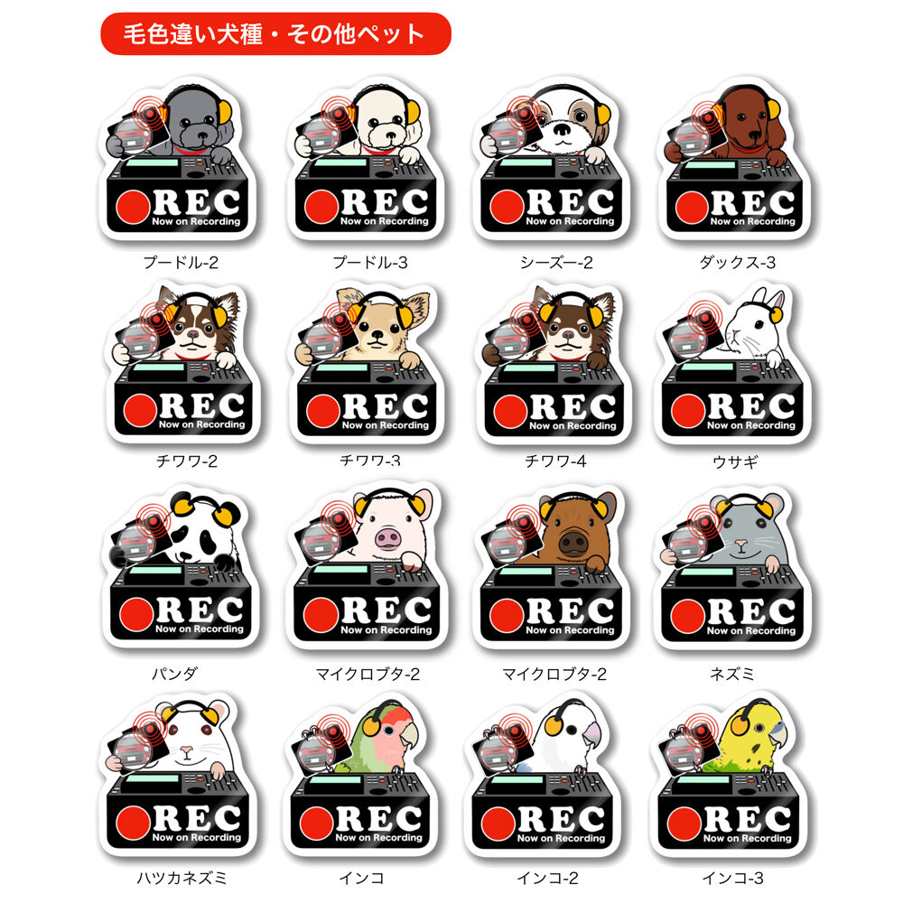 ドラレコステッカー 毛色違い犬 他ペット ドライブレコーダー ステッカー Ohmai