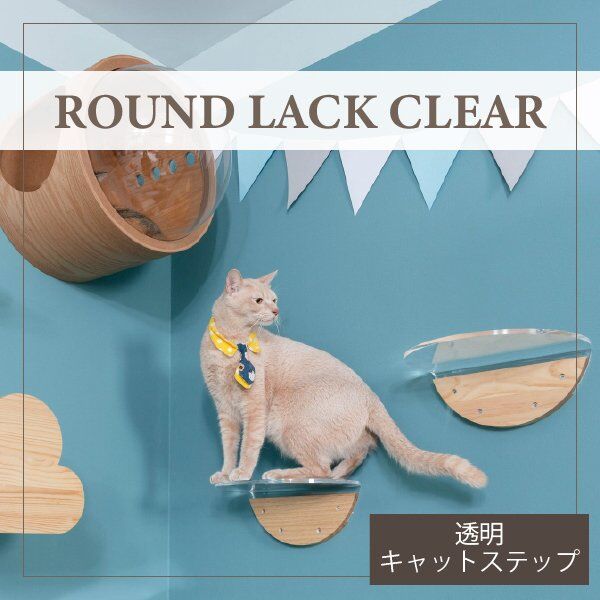MYZOO「ROUND LACK CLEAR」透明キャットステップ 肉球も