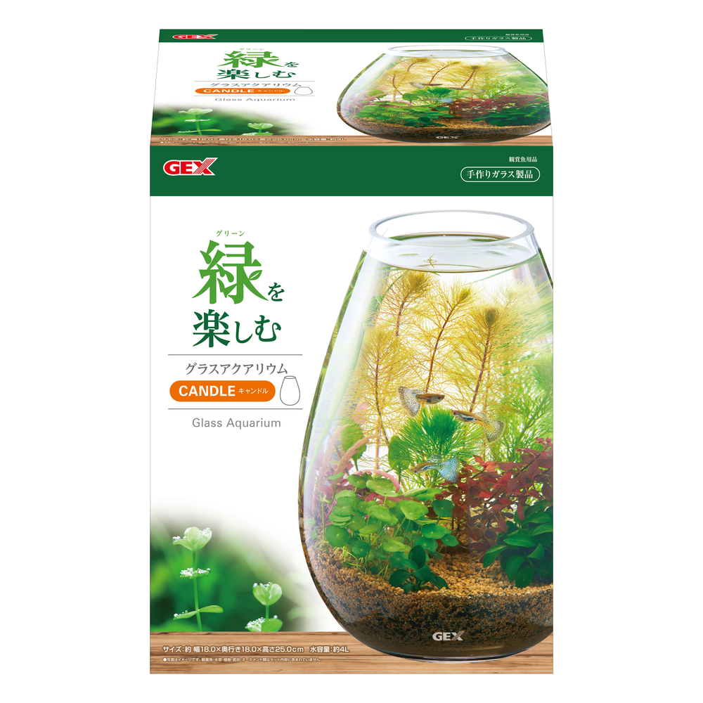 Gex グラスアクアリウム キャンドル 水草インテリア ガラス製 ｐｅｔ ｂｏｘ オンライ