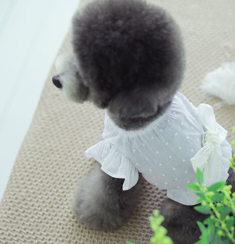 【TOTO&ROY】ドットリネンクロップ ホワイト Pick me up!