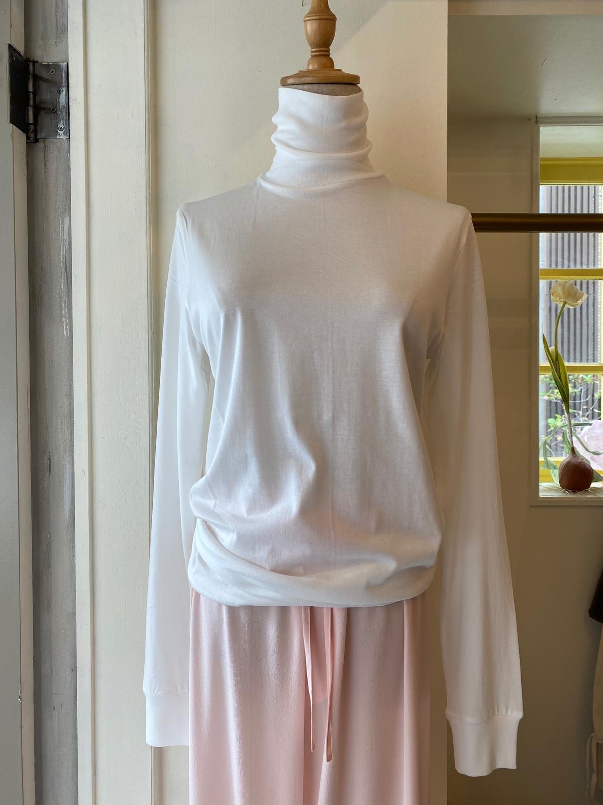 ALWEL / LONG SLEEVE ROLL NECK T Pili