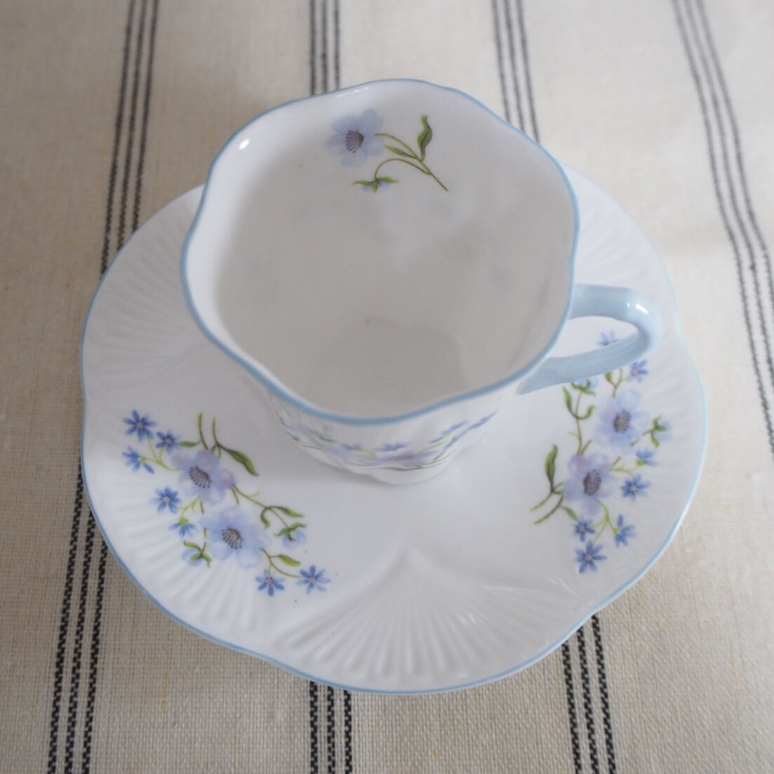 新作販売新作販売Shelley シェリー ポールスター カップソーサー