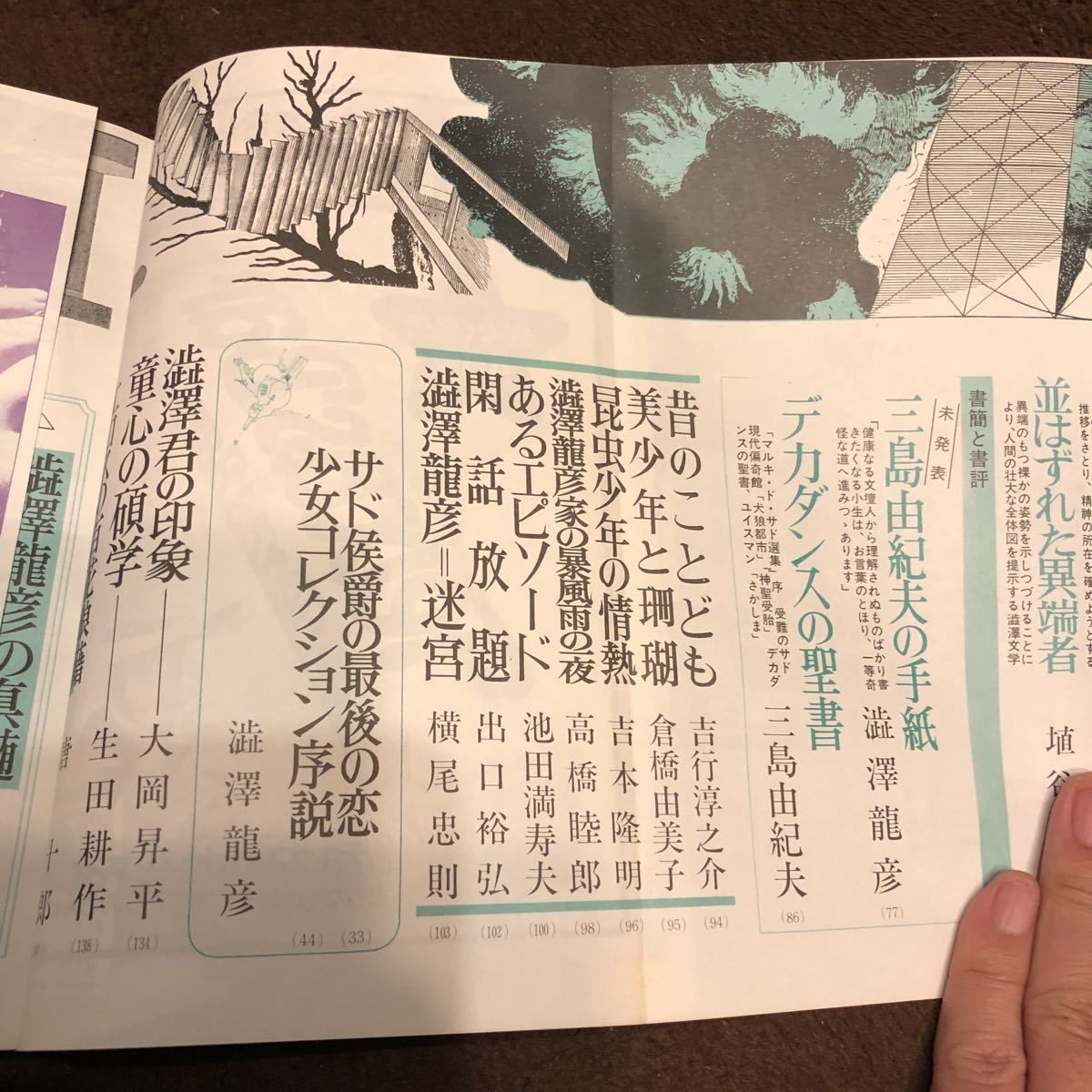 文芸雑誌 別冊新評 1973 10 澁澤龍彦の世界 Plunk S Plan Rec 文芸雑誌 別冊新評 1973 10 澁澤龍彦の世界 Plunk S Plan Rec