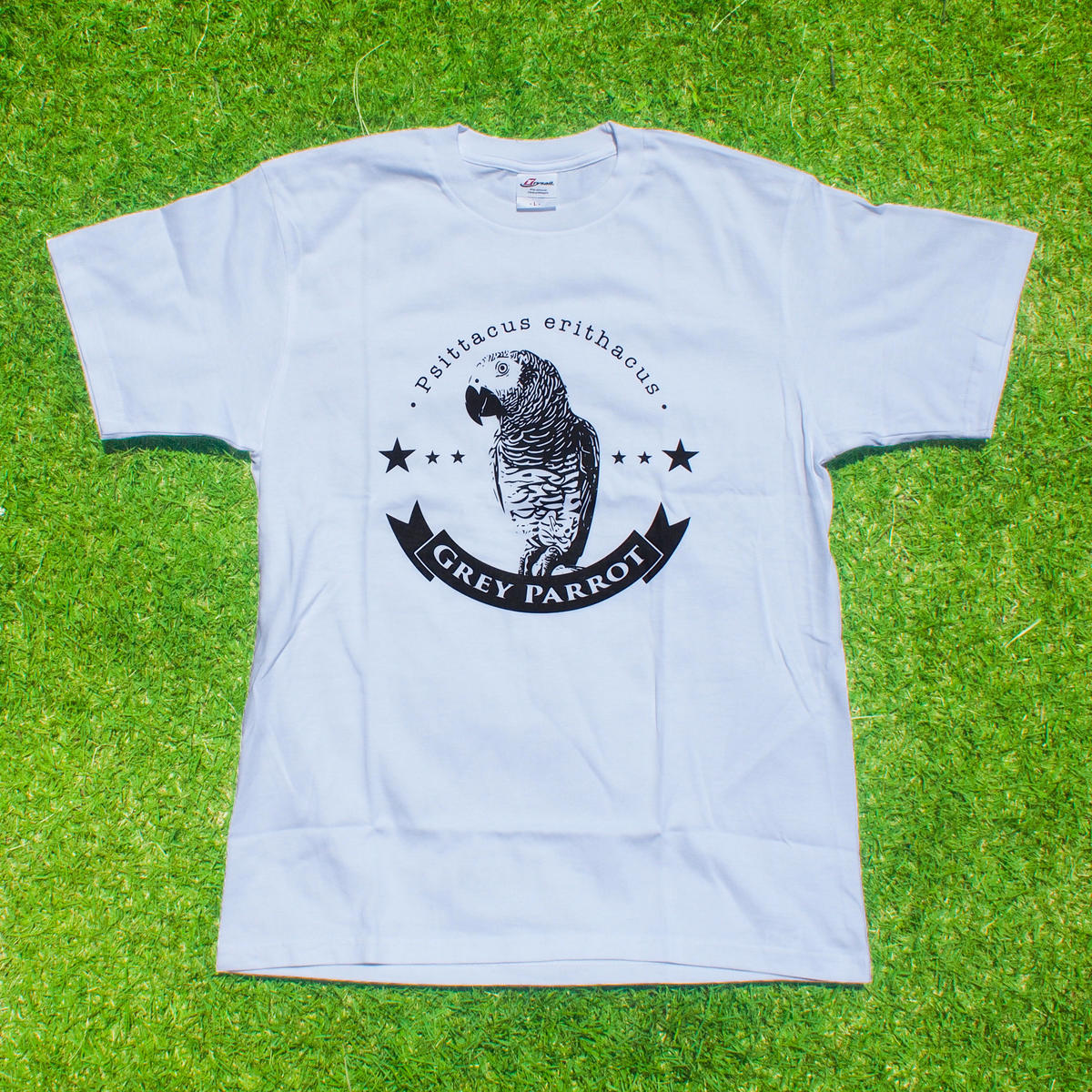 T-shirt T-shirt