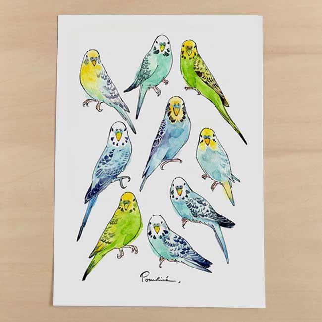 人気大割引 愛 様専用 セキセイインコ 桜 原画 イラスト 絵画 タペストリ 人気大割引 愛 様専用 セキセイインコ 桜 原画 イラスト 絵画 タペストリ