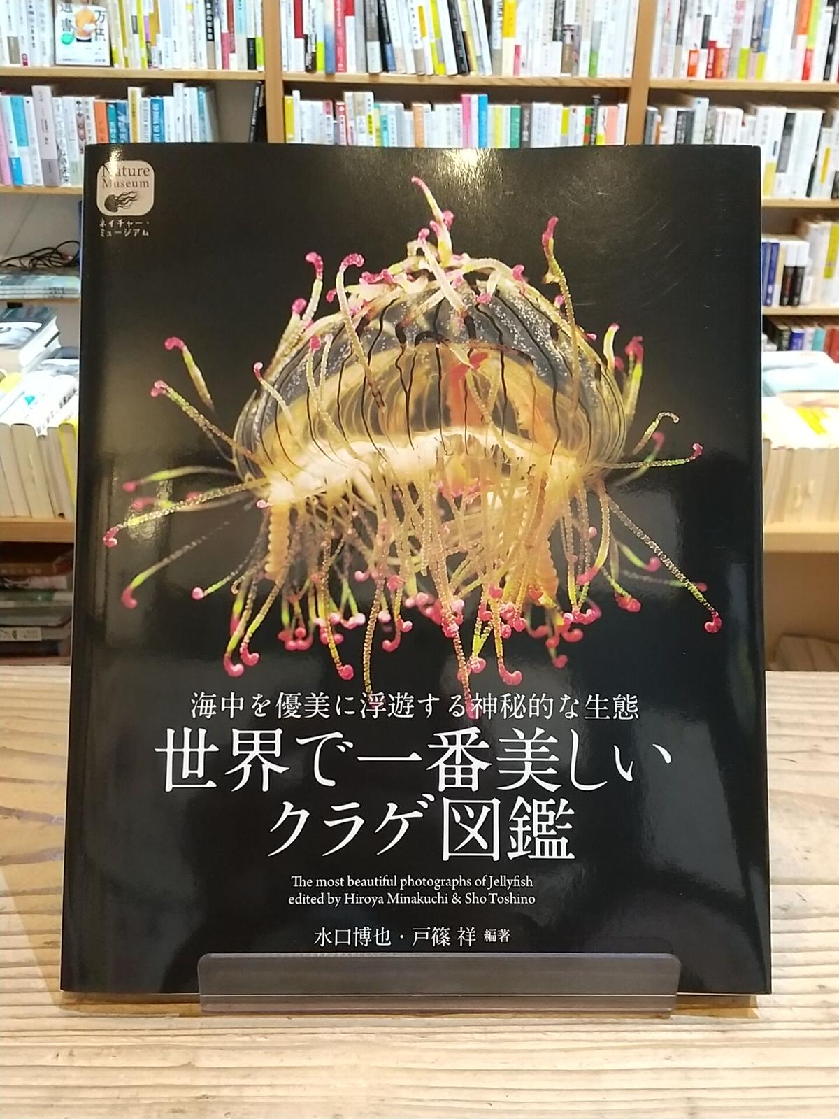 世界で一番美しいクラゲ図鑑 海中を優美に浮遊する神秘的な生態 Porvenirbookst 世界で一番美しいクラゲ図鑑 海中を優美に浮遊する神秘的な生態 Porvenirbookst