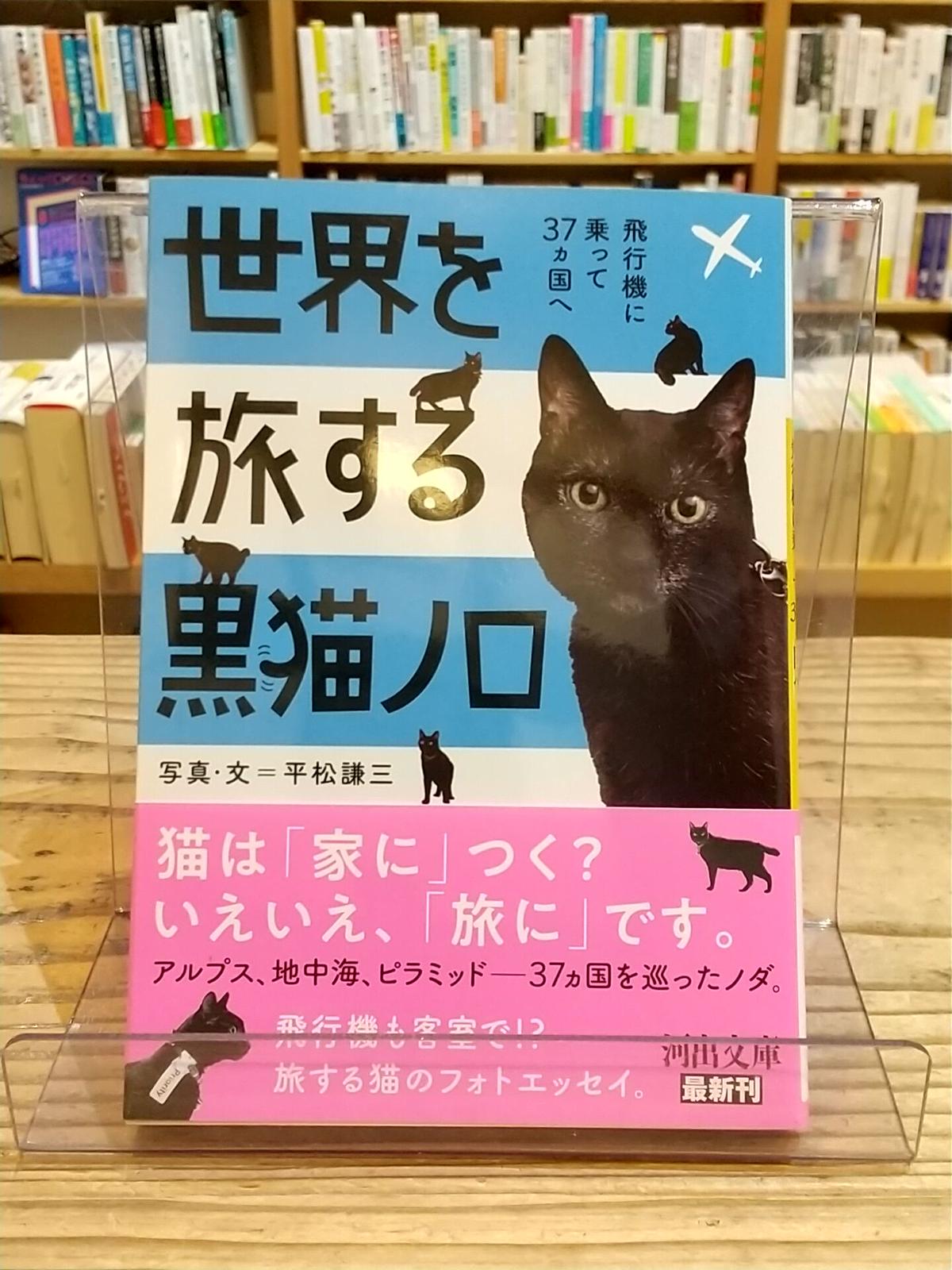 世界を旅する黒猫ノロ 飛行機に乗って37ヵ国へ 河出文庫 Porvenirbookst
