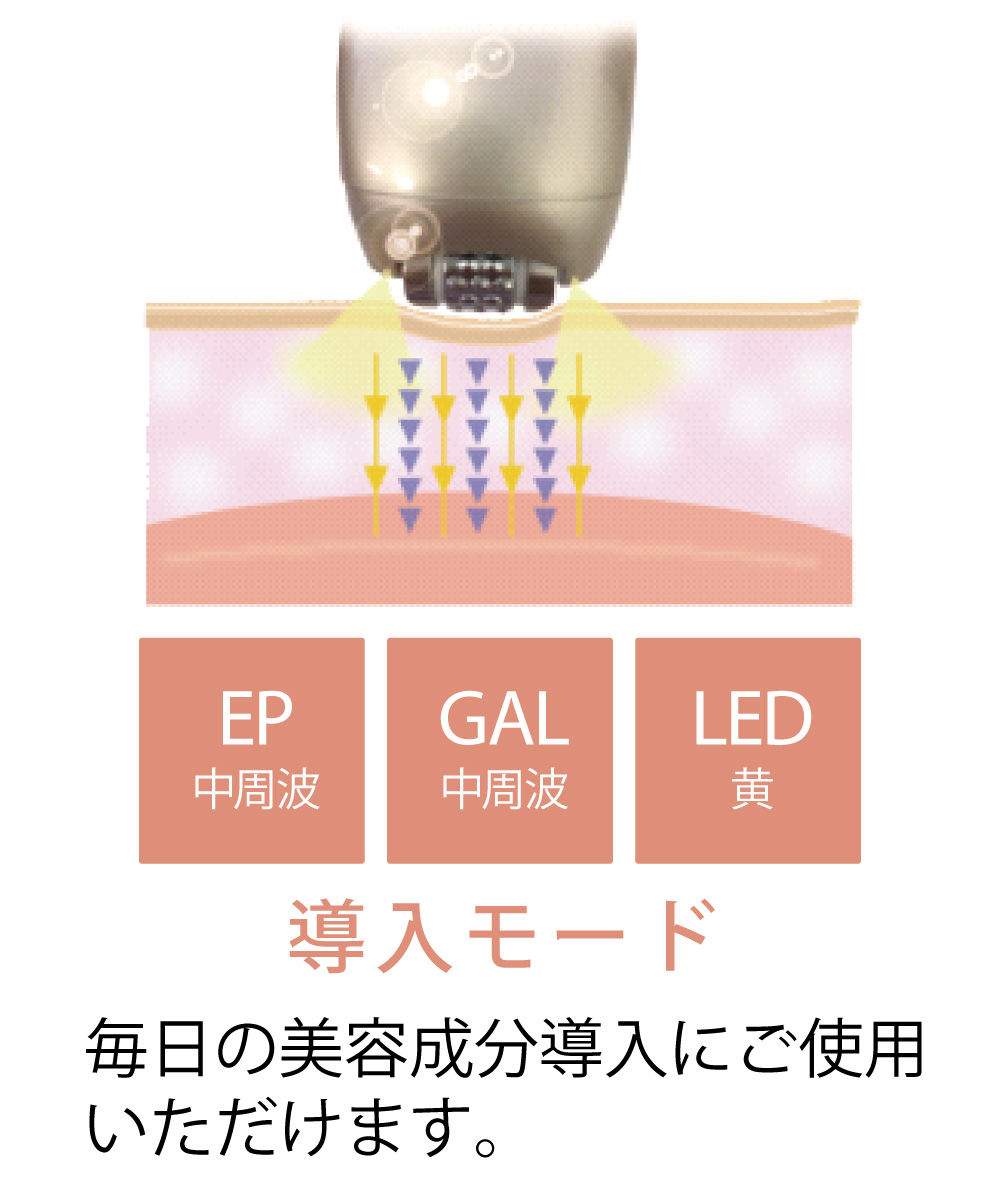 BML ドクターム 美顔器 BML ドクターム 美顔器