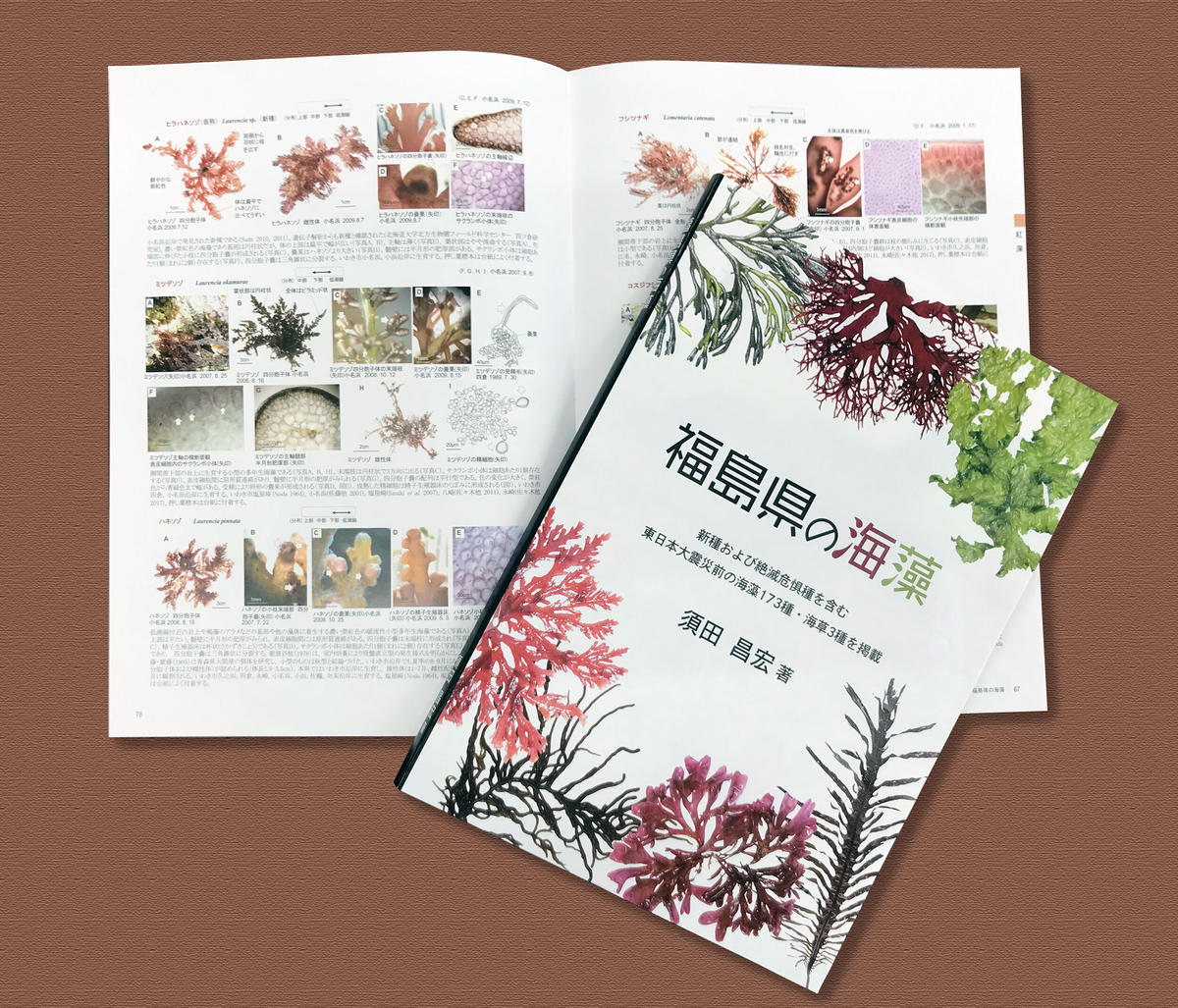 Bookポスト便発送 福島県の海藻 須田 昌宏 著 ぷりもの