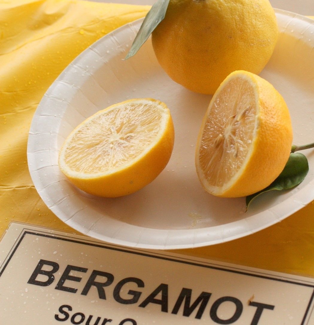 ベルガモット ml 精油 ファンダリカ