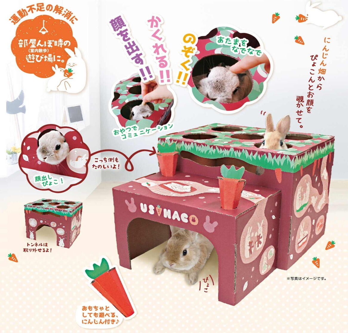 ウサハコ にんじん畑 ネットショップ ラビットゆう