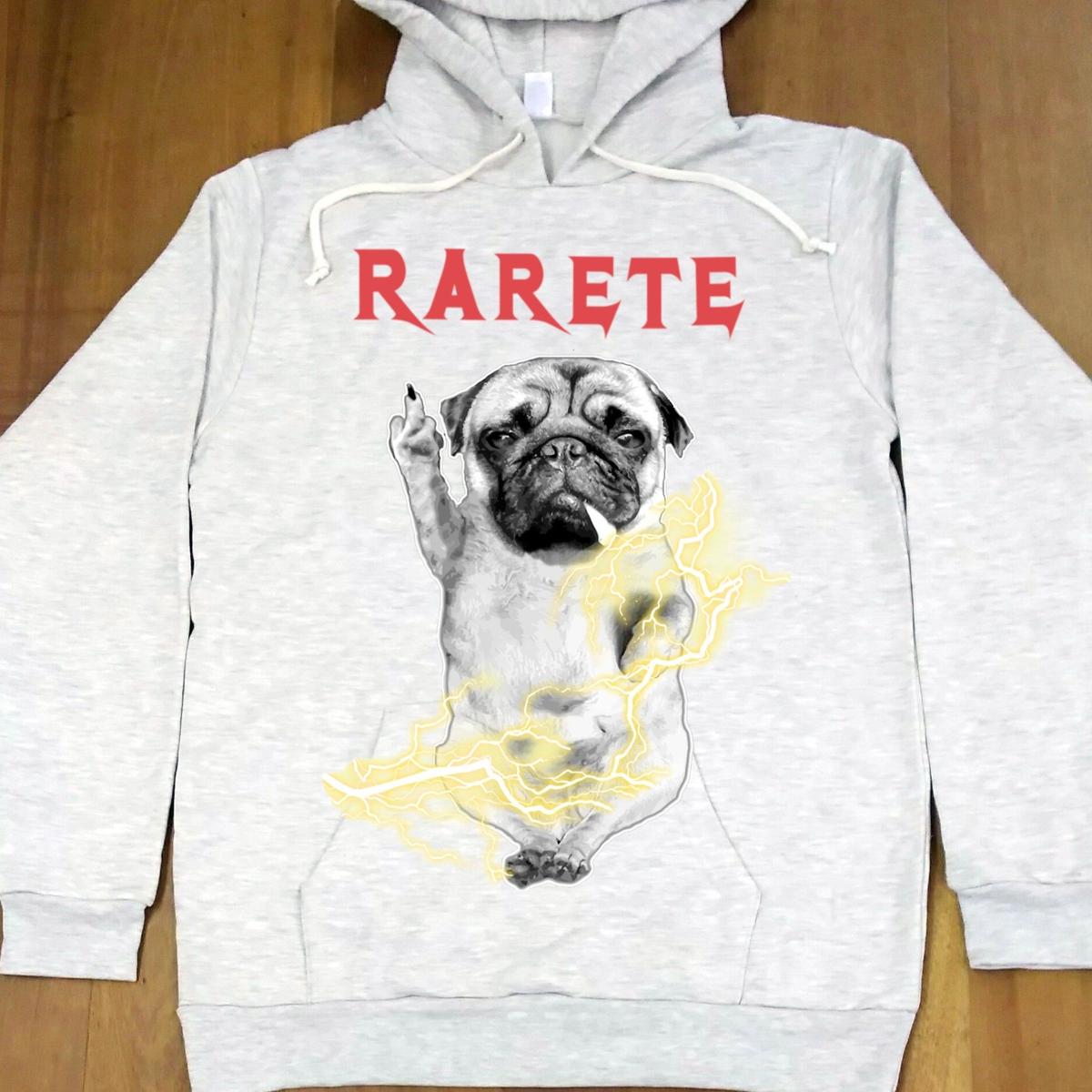 すり減る ぴったり 反射 パグ パーカー Terravivabio Org