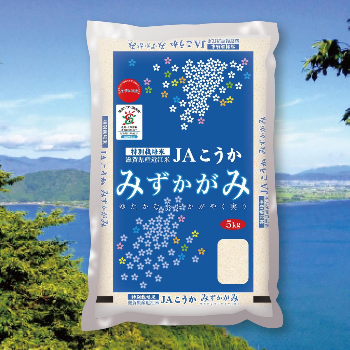 令和4年産 新米☆特別栽培米☆滋賀県産近江米 みずかがみ/JAこうか5kg こめとも 令和4年産 新米☆特別栽培米☆滋賀県産近江米 みずかがみ/JAこうか5kg こめとも