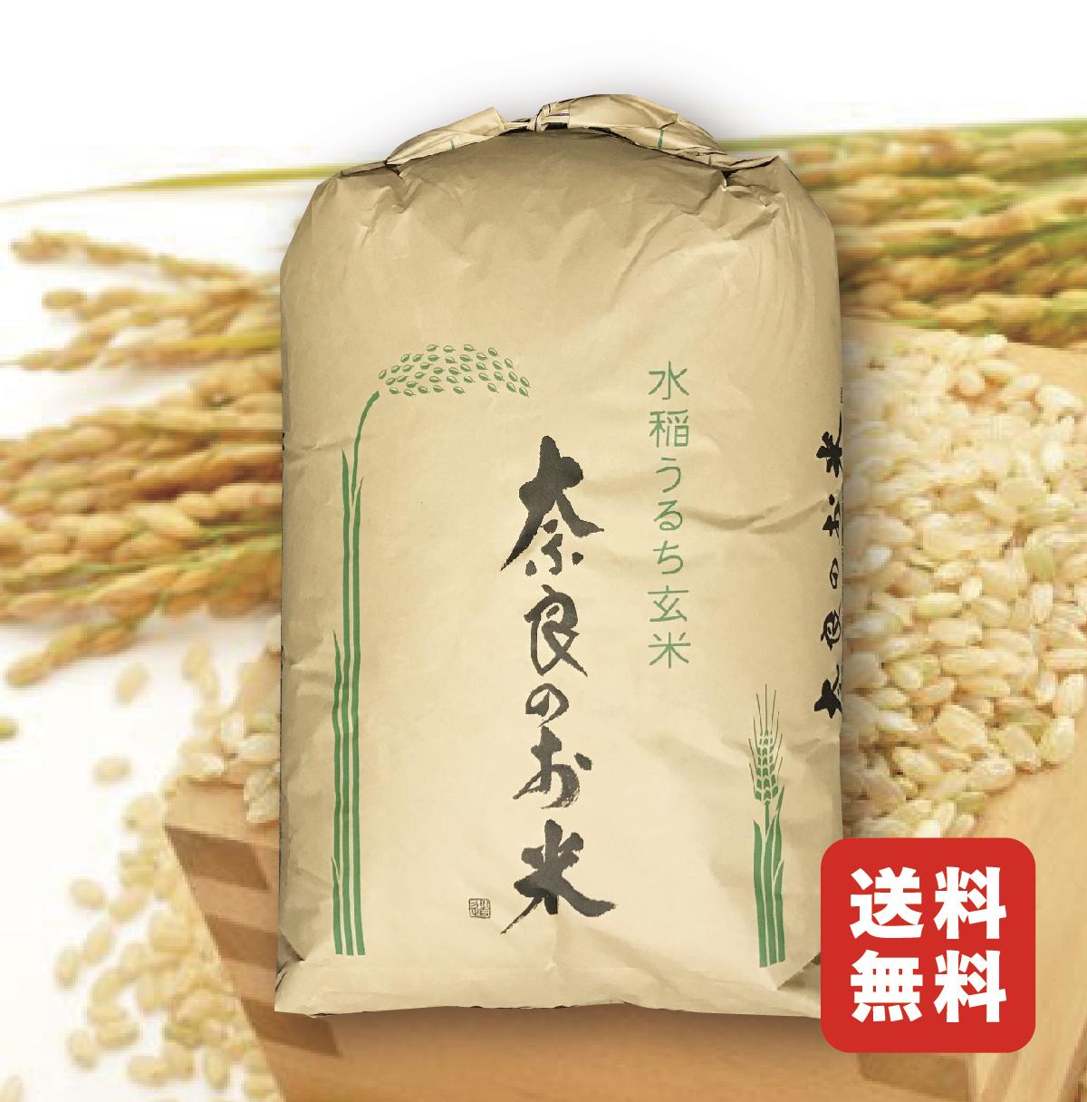 令和4年産☆近畿のお米/奈良県産ひのひかり 【玄米30kg】 ◉送料無料
