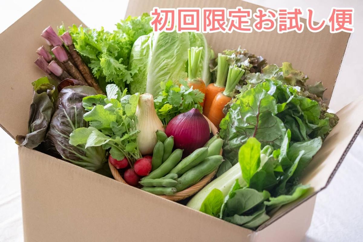 1404円 偉大な 佐賀県産 九州各県産 トマト きゅうり なす3品セット 1404円 偉大な 佐賀県産 九州各県産 トマト きゅうり なす3品セット
