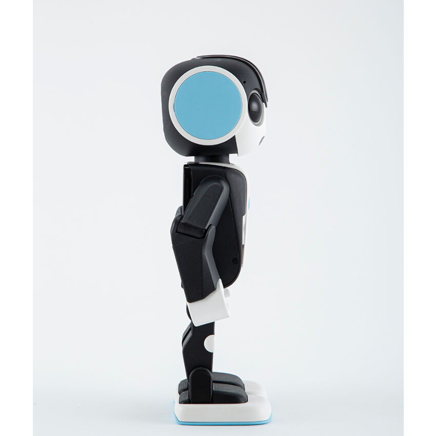 ロボホンイベント限定弟モデル