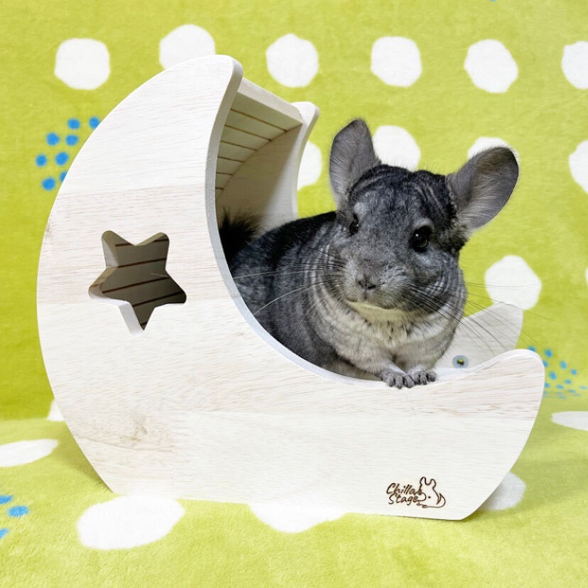 チンチラハウス  月 moon 小動物用 可愛い チンチラハウス 月 moon 小動物用 可愛い - メルカリ