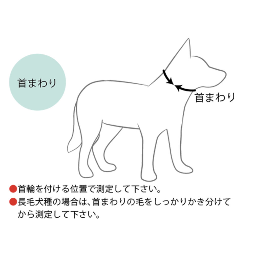 Ezydog 犬用首輪 ネオカラー Sサイズ 全7色 Roy S Sea