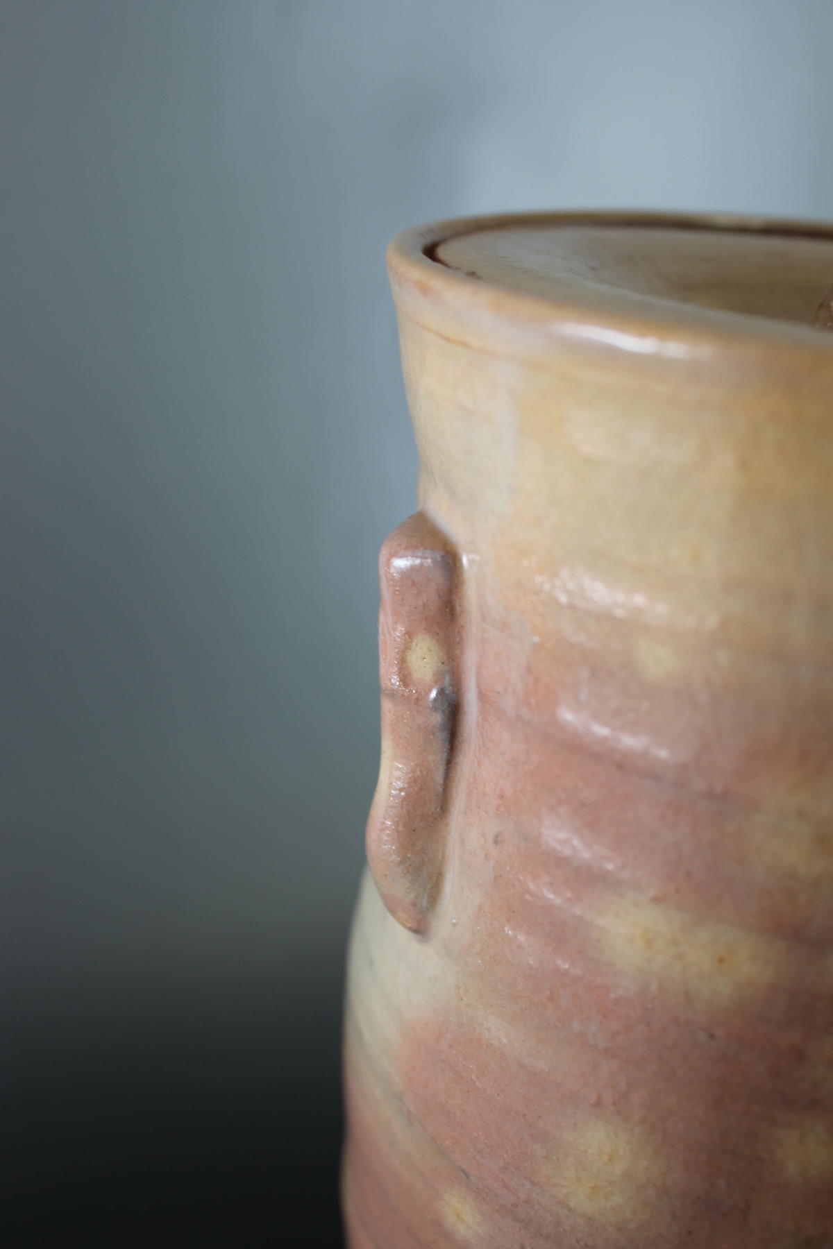 フラワーオブライフ 【茶道具】 萩焼 耳付 水指 \n萩焼耳付細水指