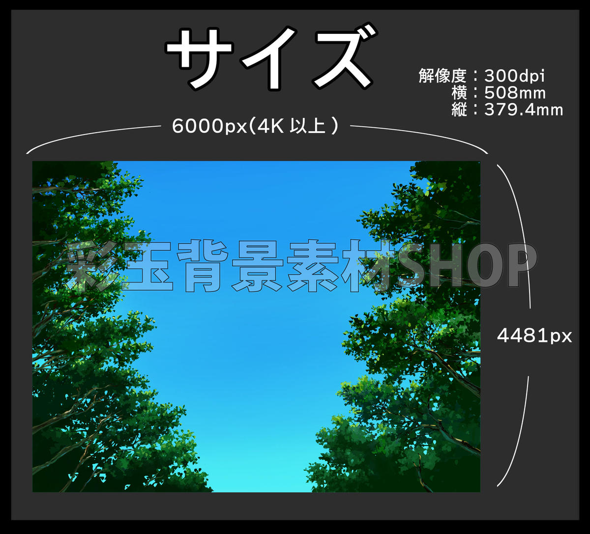 素材 木 煽り 彩玉のpsd背景素材shop