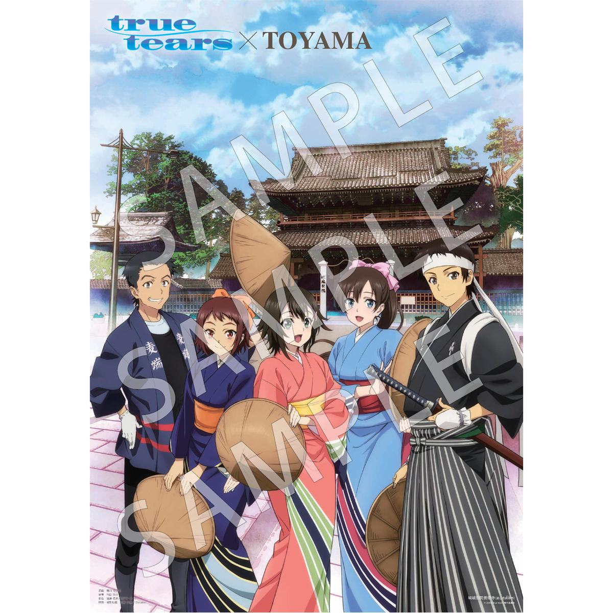 同梱不可 True Tears Toyama B2ポスター アニメグッズ 手作り雑貨 桜