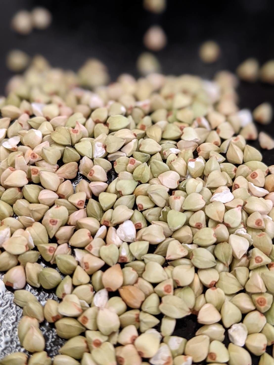 そばの実の健康効果 ダイエット効果 冷凍十割越前そば 櫻庭 さくらば 通販 お取り寄せサイト