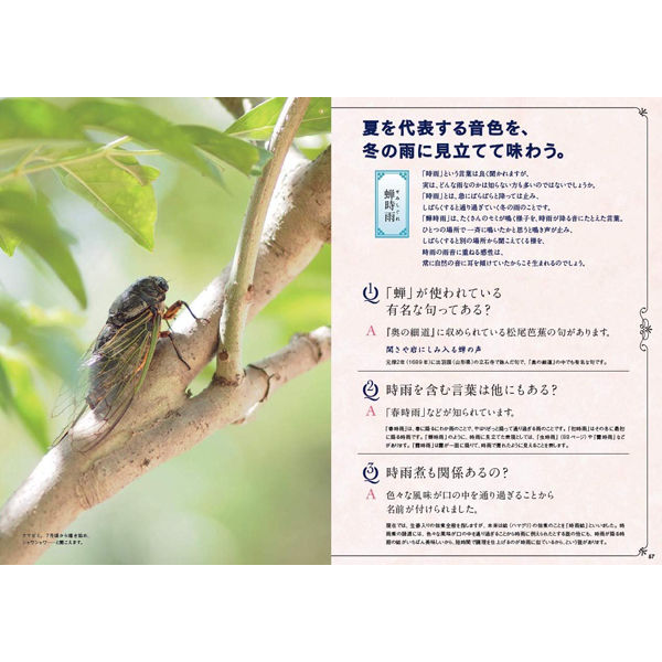 本 世界でいちばん素敵な大和言葉の教室 お出かけ応援キャンペーン対象書籍 三才ブックス