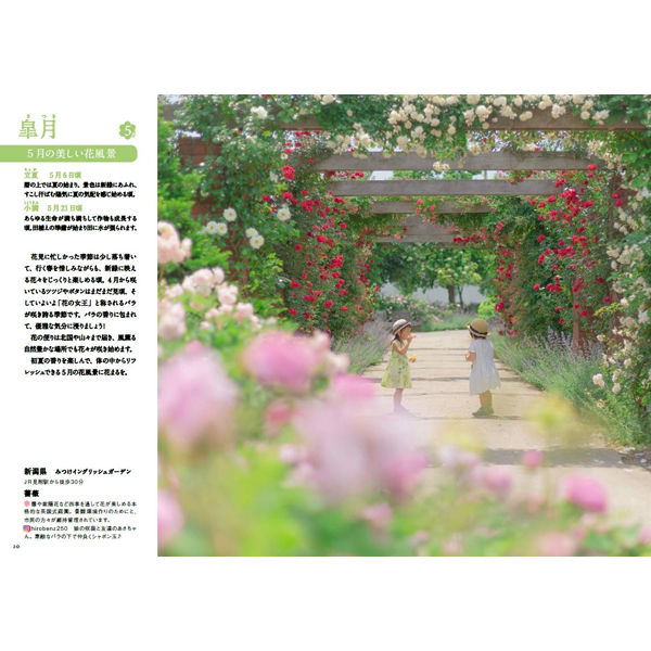 本 1年中楽しみたい 日本の美しい花暦 特典ポストカード付 三才ブックス オンライン