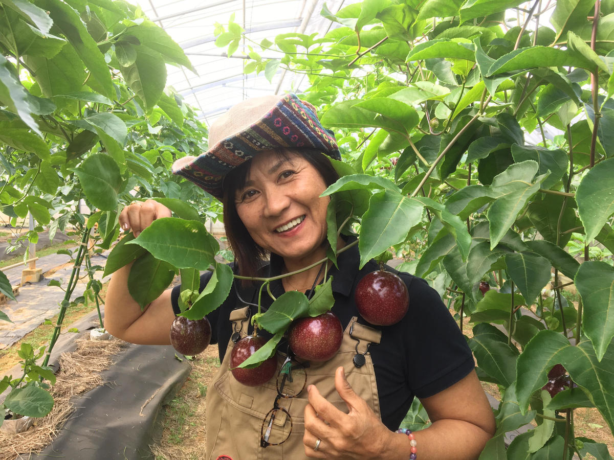 エコファーム冷凍パッションフルーツ1kg Saranouenoshizen S Store