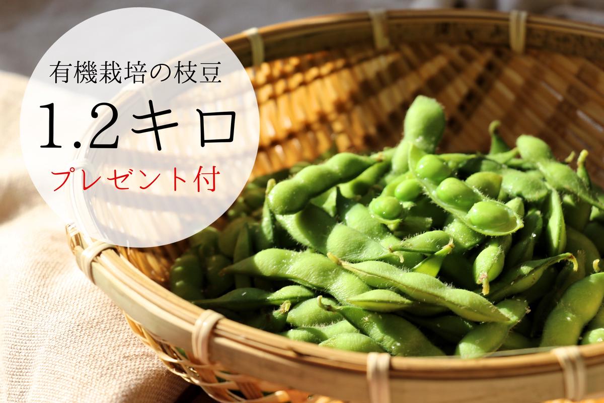 有機栽培の枝豆 枝豆week 期間限定 かしづく