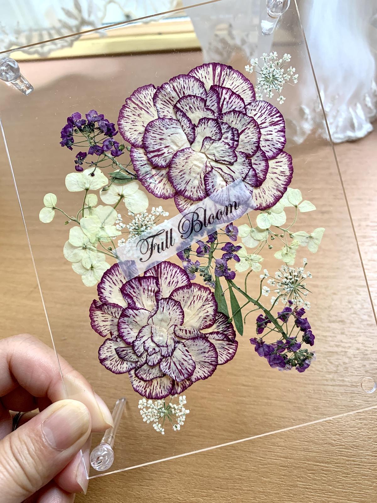 花 Saika 押し花アート インテリア額 ｌ カーネーション 新築祝いなどに Arkhoediciones Com