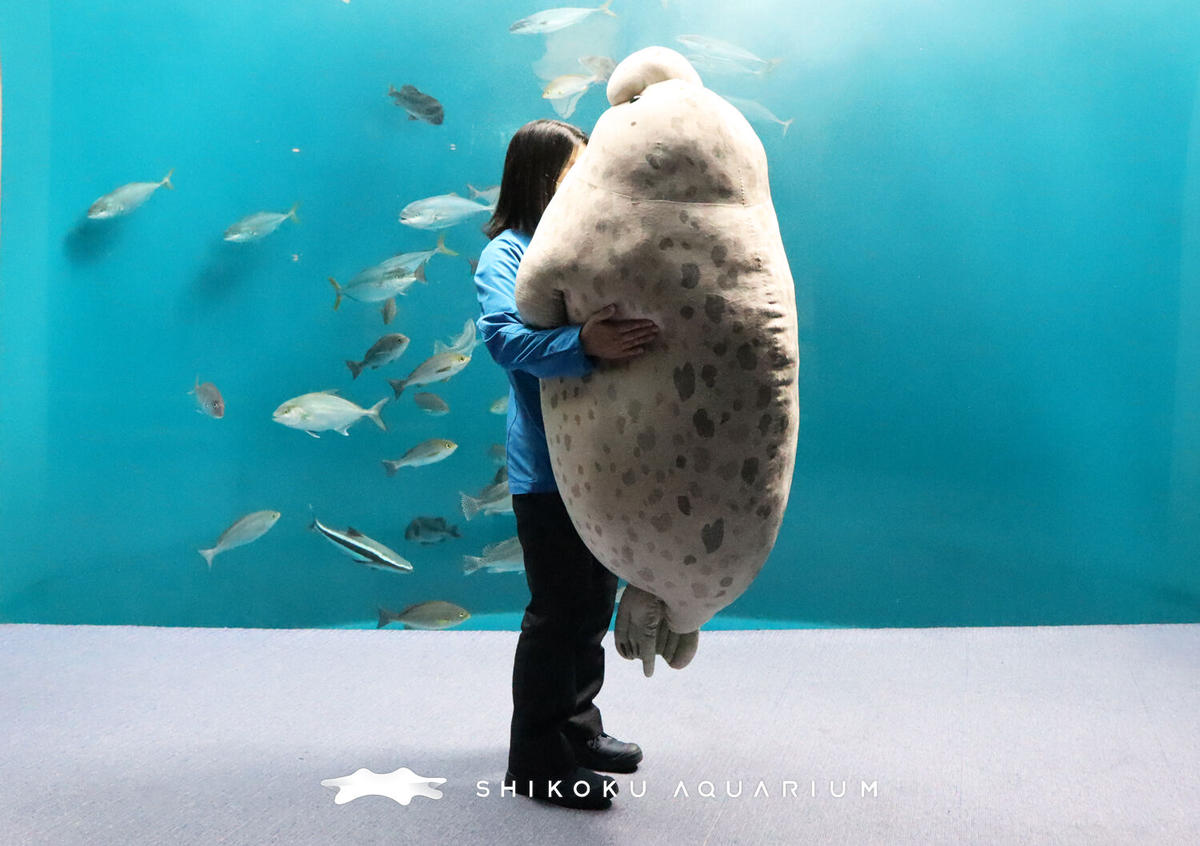 手渡しのみ]四国水族館 アカシュモクザメ特大ぬいぐるみ