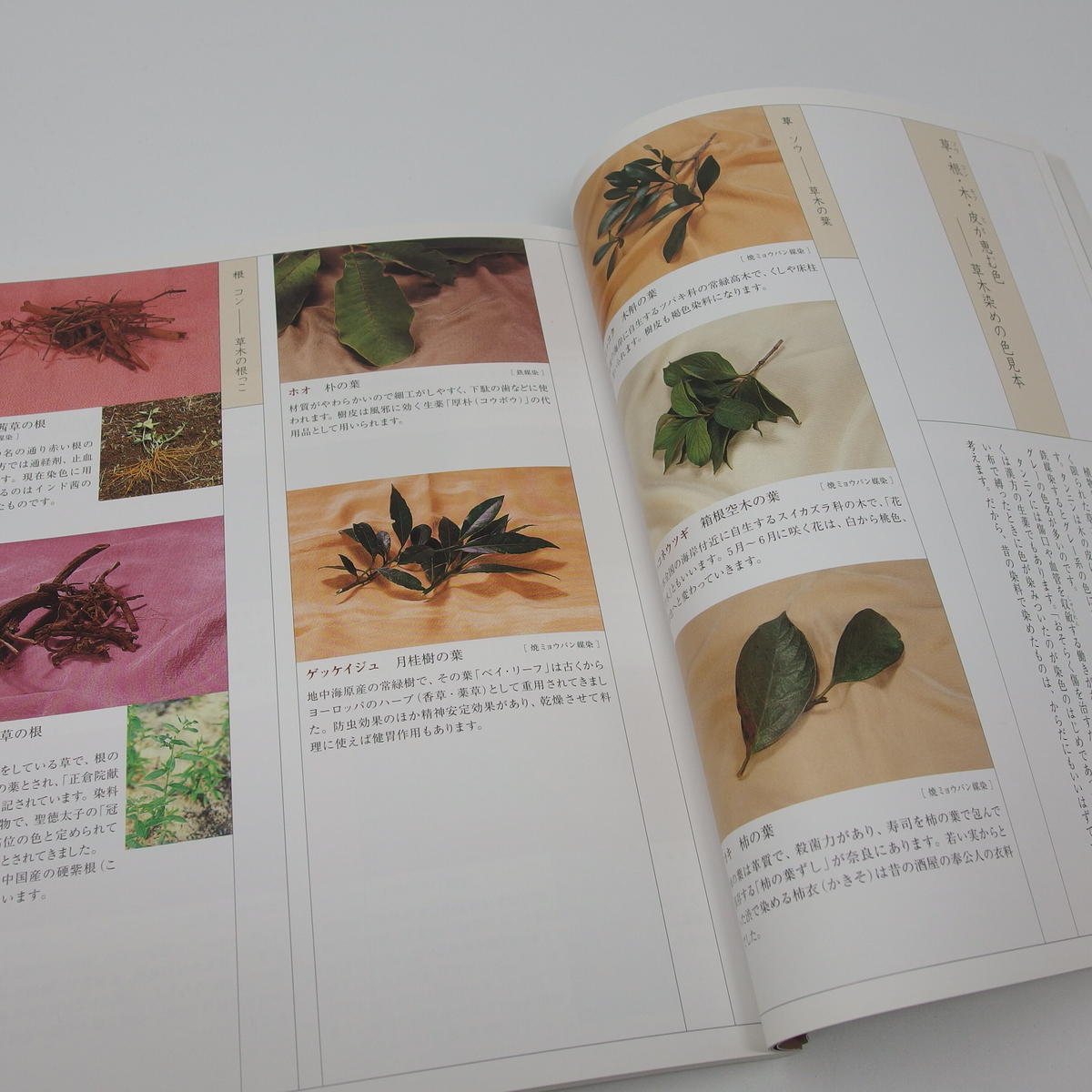 安売り 草木染めをしてみませんか 工房で キッチンで 淡交ムック