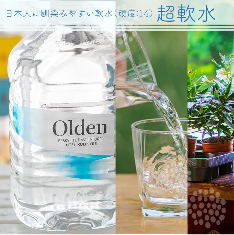 水 ミネラルウォーター ５l 4本 オルデン 送料無料 超軟水 ノルウェー 硬度14 高級天然