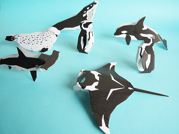 うみの白黒動物 Gallery Shop唐船屋