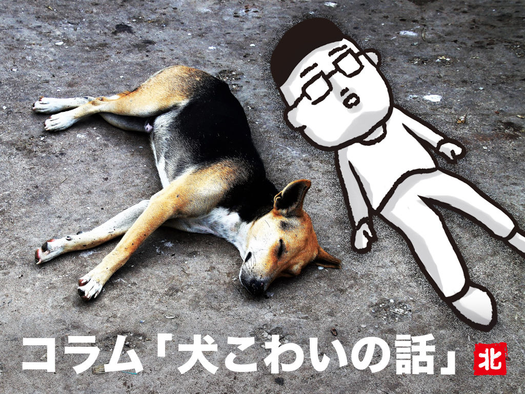 Haku 北村 コラム 5 犬こわいの話 Itonowa Life Online Store