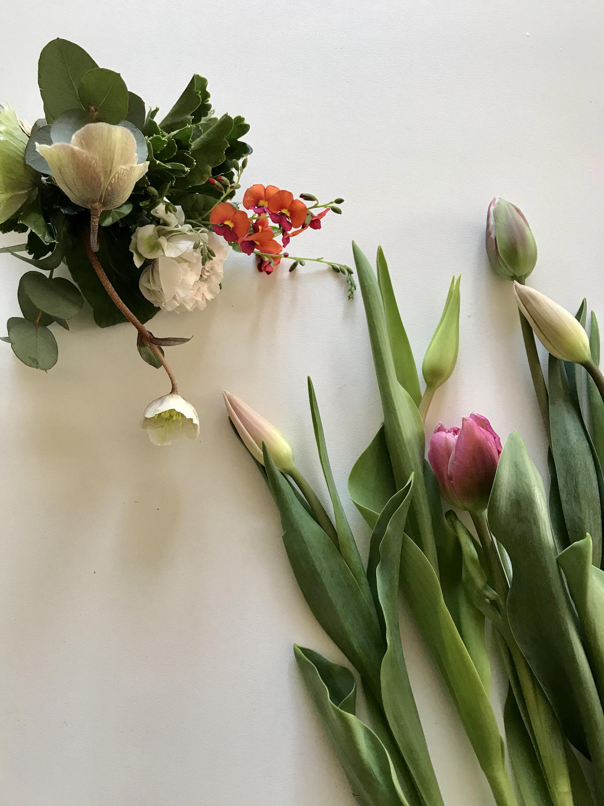 チューリップとイキシア 卓上ブーケ Simple Flowers