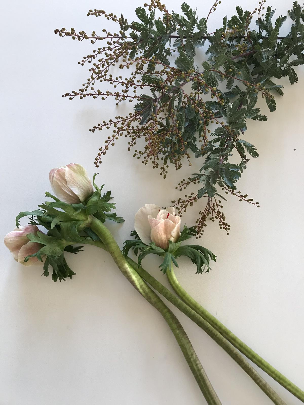 黒芯アネモネ 大３本 の花束とクリスマスローズ Simple Flowers