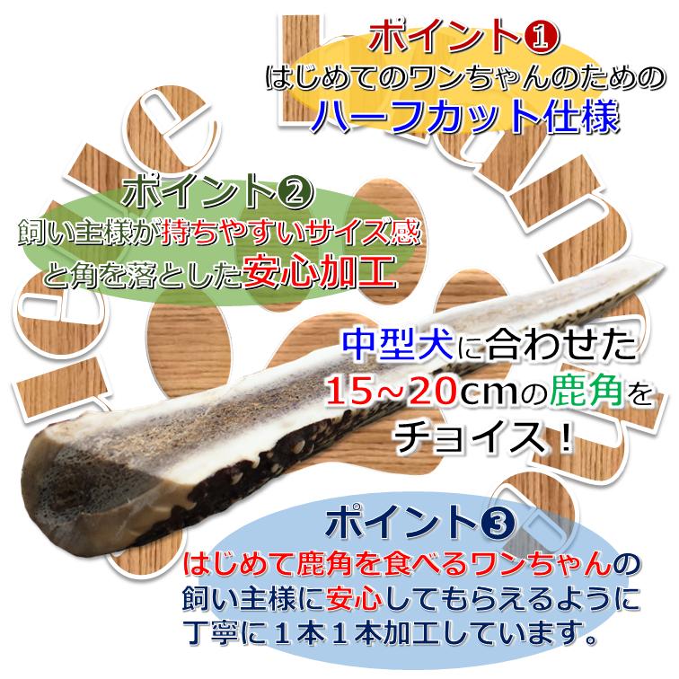 中型犬用 鹿角ハーフカット Queue Blanche