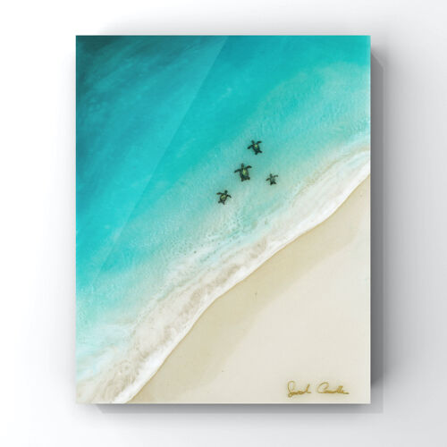 サラカードルSarah Caudle原画② レジンアート6×12