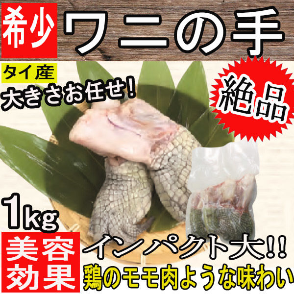 ワニの手 タイ産 大きさお任せ 約1kg 暁 Grill Base